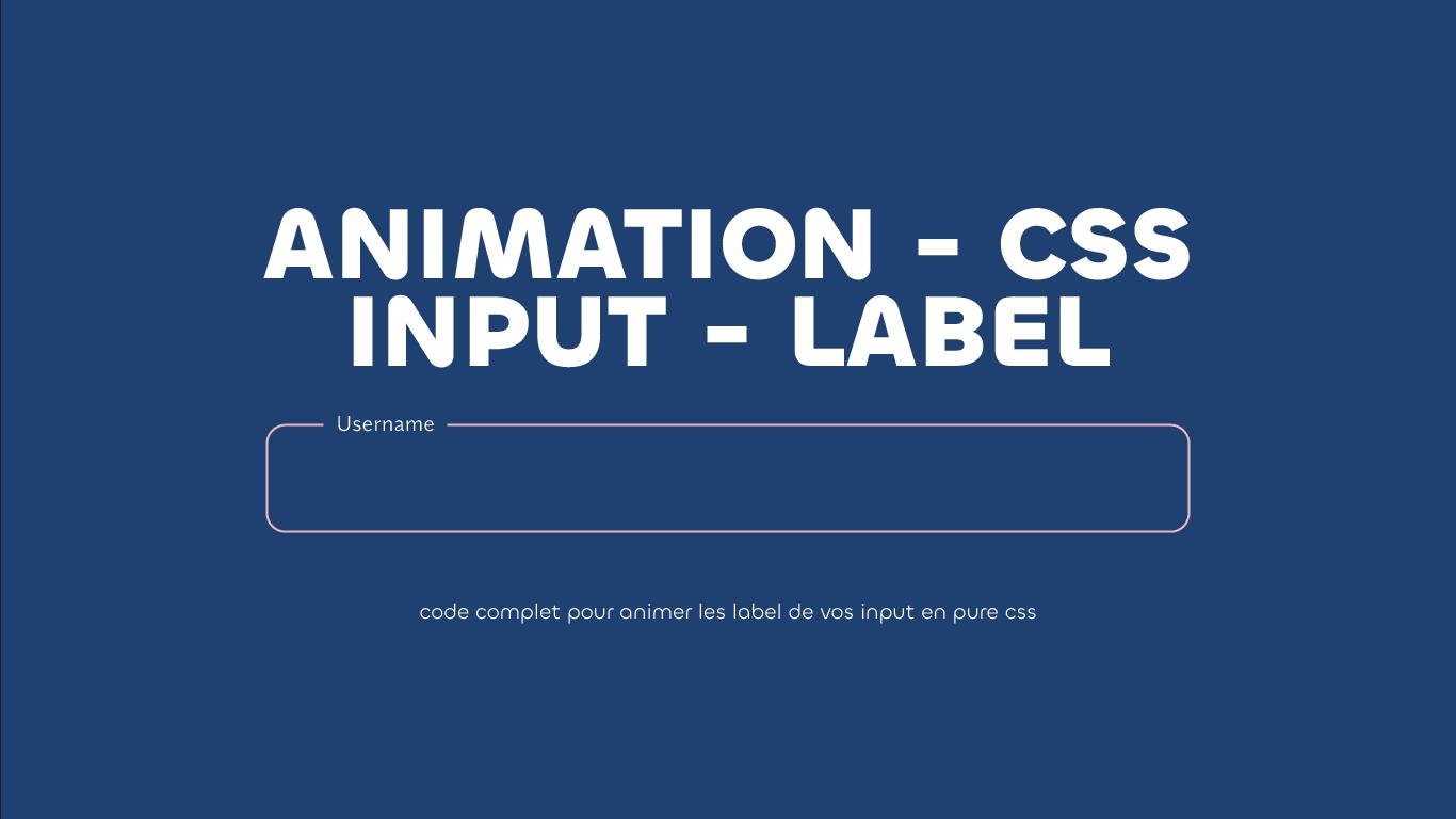 Animation de label pour les éléments inputs en CSS