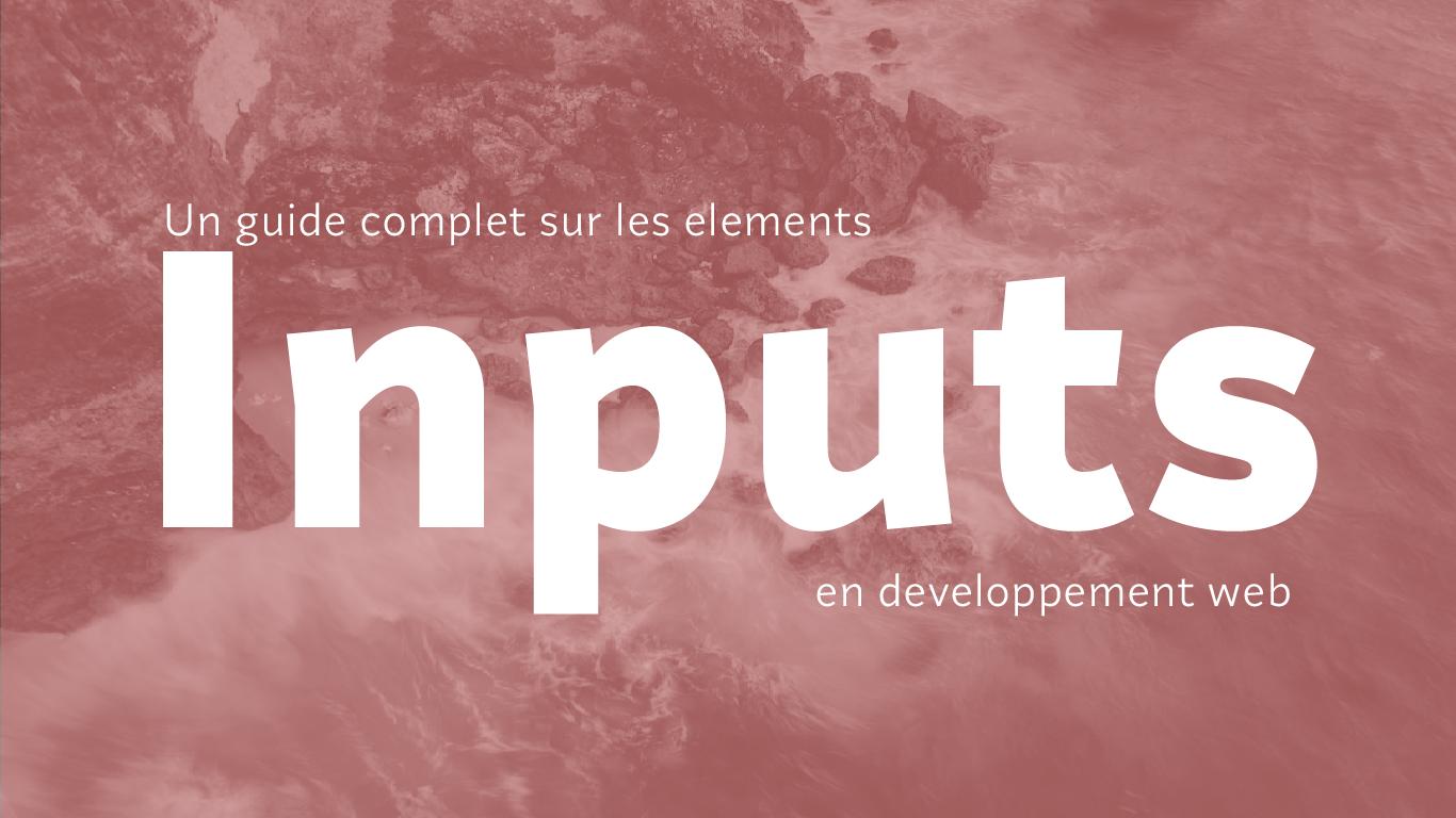 Un guide complet sur les éléments inputs en développement web écrit sur une image