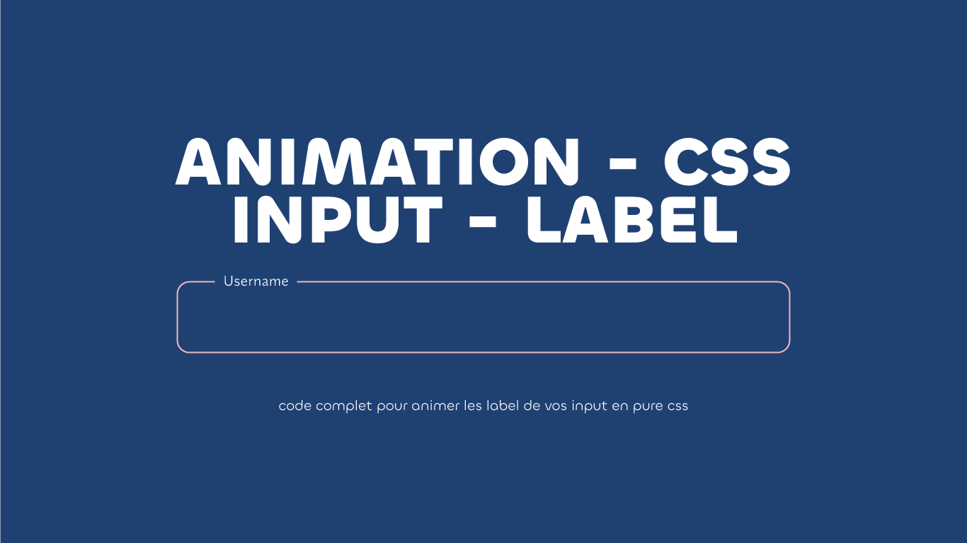 Tutoriel : Animation des labels des éléments input en CSS